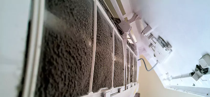 Preventive Air Duct Bacteria Removal in Dinuba