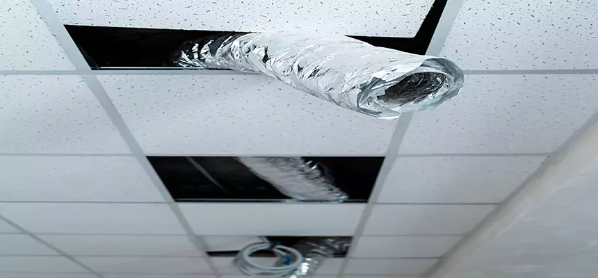 Affordable HVAC Sanitizing After Pest Removal in Dinuba