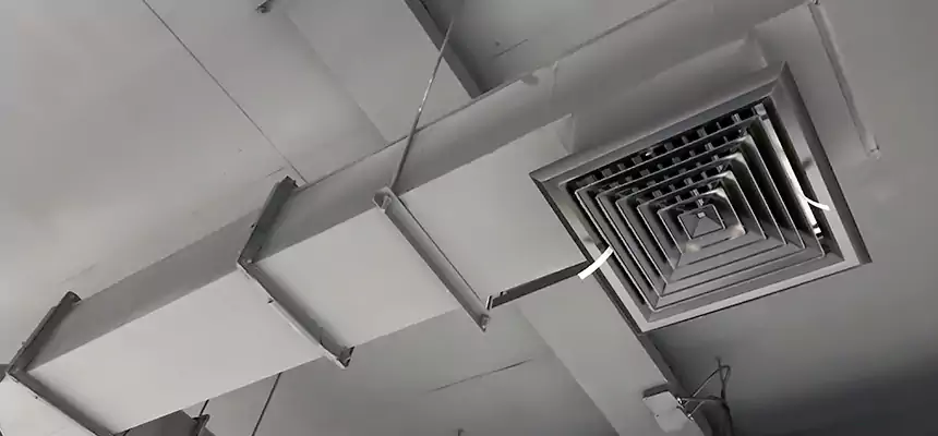 Our Rodent Droppings In Vents Services in Dinuba, CA