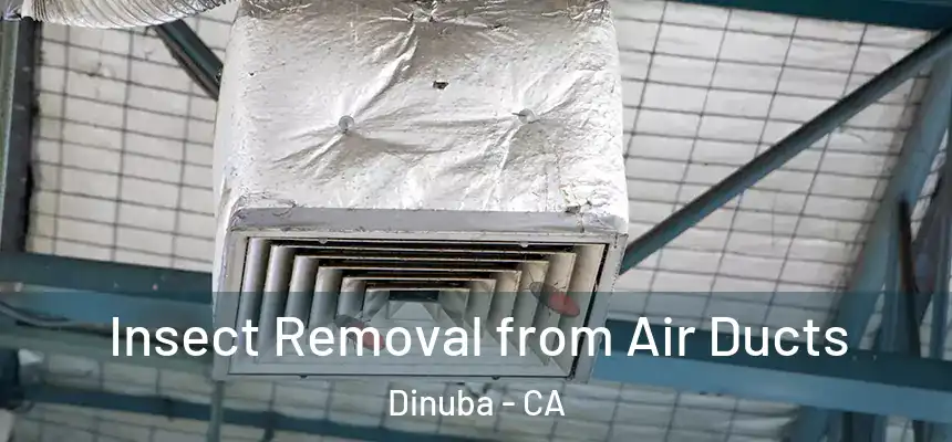  Insect Removal from Air Ducts Dinuba - CA