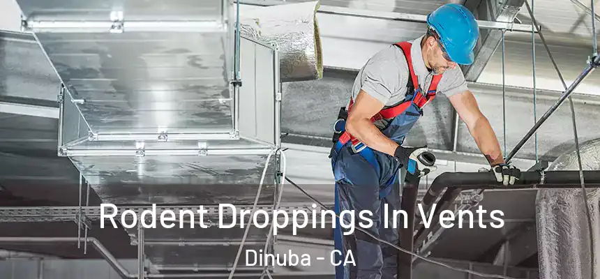  Rodent Droppings In Vents Dinuba - CA