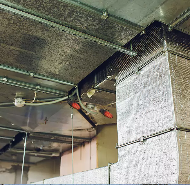 Why Homeowners & Businesses Trust Us in Dinuba, CA?