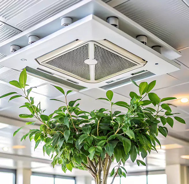 Why Homeowners & Businesses Trust Us in Dinuba, CA?